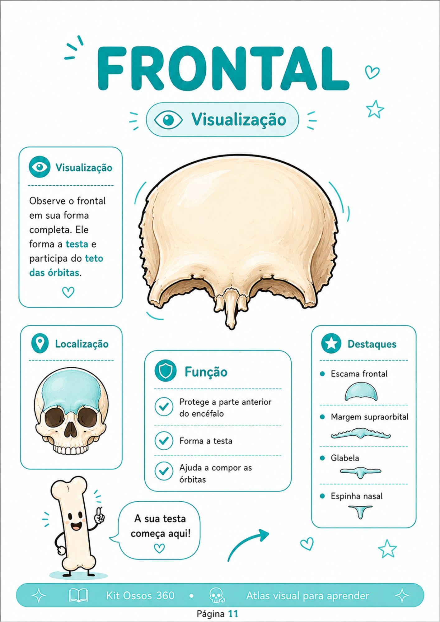 Página do Kit Ossos 360 — 5